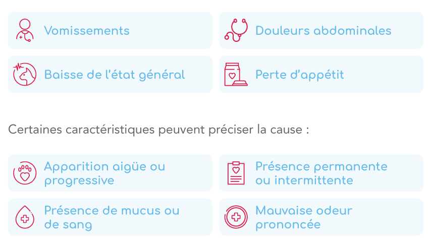 Odoo • Image et Texte